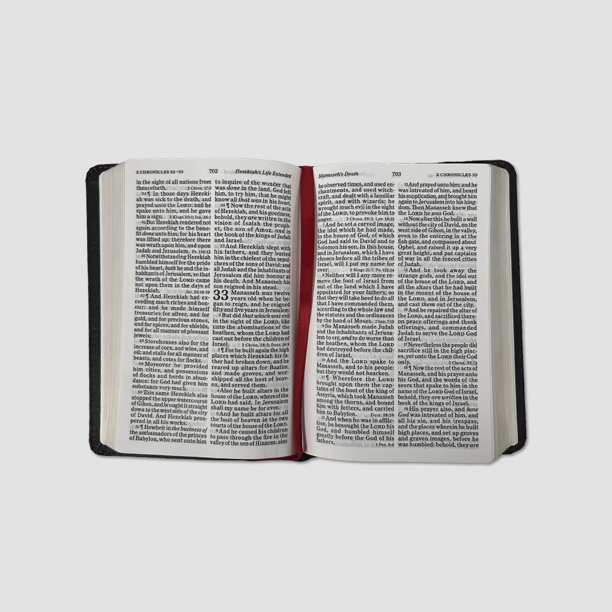 Large Print Compact King James Version Bible