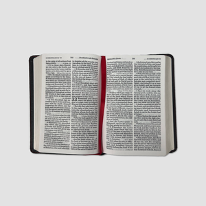 
                  
                    Large Print Compact King James Version Bible
                  
                