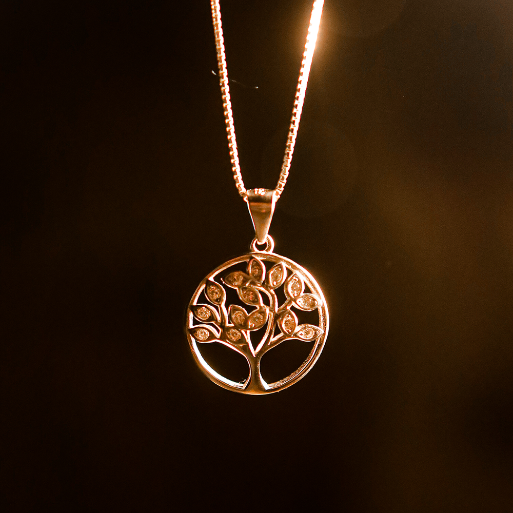 
                  
                    The Secrets of Passover + Tree of Life Necklace Special offer
                  
                